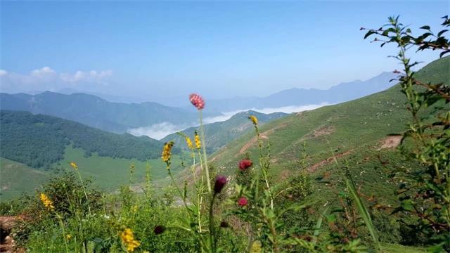北京门头沟灵山飘雪花(门头沟的灵山)