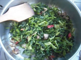 雪里蕻炖豆腐(雪里蕻的腌制方法和储存)
