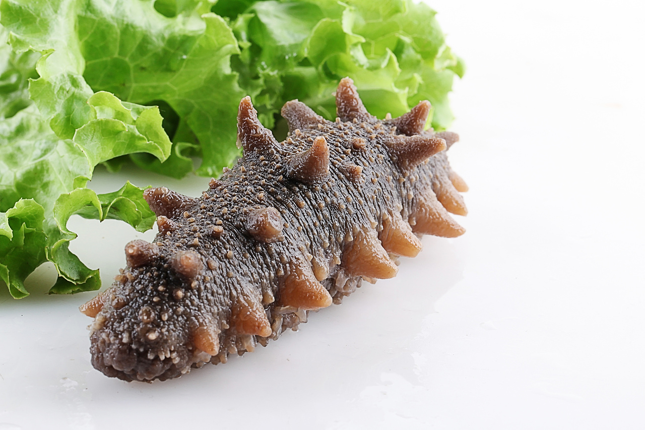 哺乳期海参如何吃?哺乳期海参如何吃最好