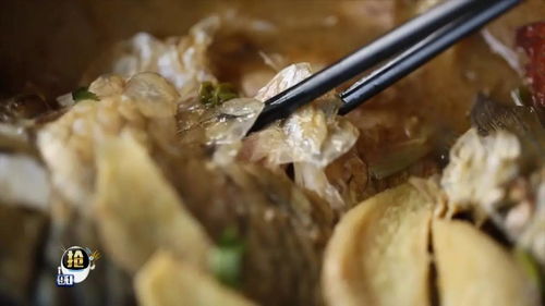 鱼鳞如何存放?鱼鳞如何食用