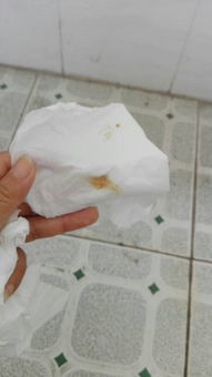 美国狮牌（美国狮牌户外什么档次）