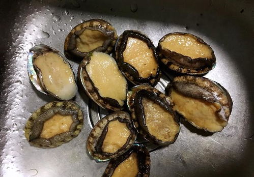 鲍鱼如何去内脏视频?鲍鱼怎么去除内脏 视频