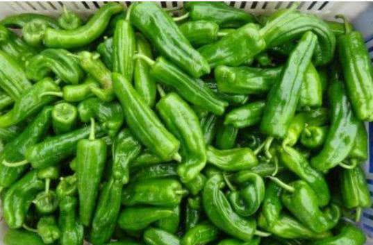 围巾什么牌子性价比高？（围巾品牌）