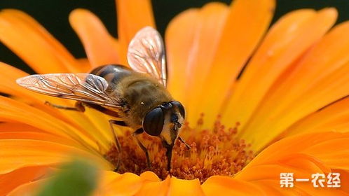 小米note9手机（小米NOTE9手机禁止系统更新弹窗在哪）