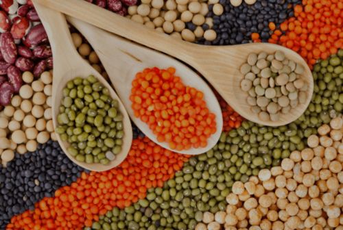 newbing可以在ipad上用吗？（newipad）