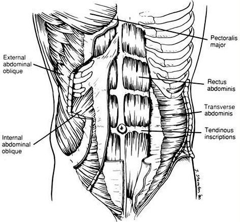 腰椎间盘突出如何康复?腰椎间盘突出如何调理