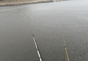 破产记录保存时间？（国家破产之日）