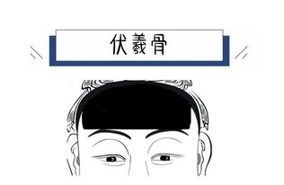 鼻梁高命如何?鼻梁高有福气吗 鼻梁高命如何?鼻梁高有福气吗