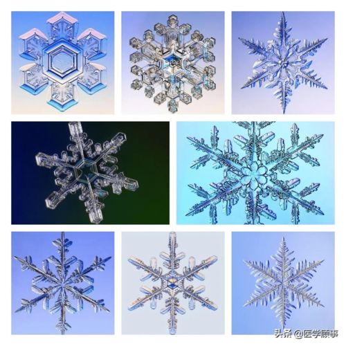 长方形如何折雪花?用长方形的纸做雪花