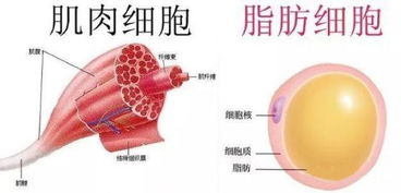 凶间雪山影评（凶间雪山完整版）