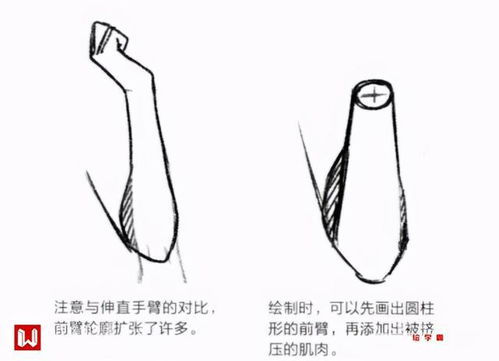 如何瘦手臂?如何瘦手臂上的肉