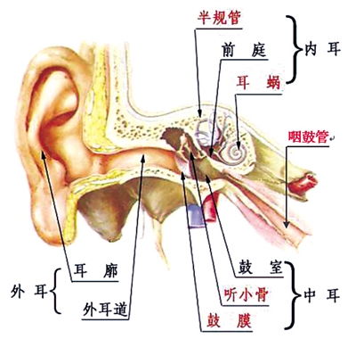 咽鼓管堵塞如何喝水?咽鼓管堵塞缓解