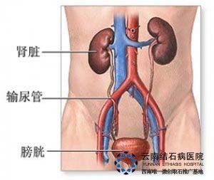埃博拉病毒最新消息（2024非洲埃博拉病毒最新消息）