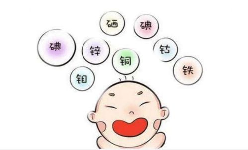 如何给宝宝测微量元素?宝宝测微量元素怎么测多少钱