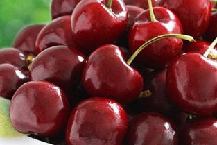 苏杉杉大魔王的称号怎么来的？（苏杉杉）