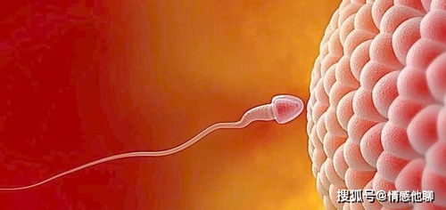 月经不正常如何怀孕?月经不正常如何快速怀孕