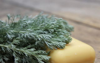 宝宝低烧时如何用艾叶?小孩感冒低烧可以用艾叶泡澡吗