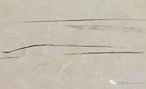 如何去除陈旧性油渍?陈旧油点用啥能洗掉