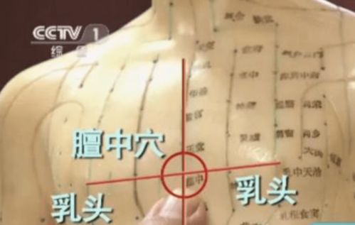 如何提升胸腺免疫力?如何提升胸腺免疫力和免疫力