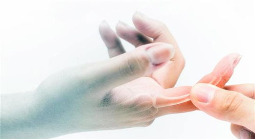 动画版三国演义里的歌曲都有哪些？（动画片三国演义）