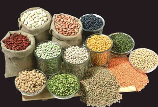 跑步鞋什么牌子的好(什么样的跑步鞋最好) 跑步鞋什么牌子的好(什么样的跑步鞋最好)