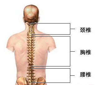 儿童自行车推荐喜德盛优贝迪卡侬哪个好？（儿童自行车什么牌子好）