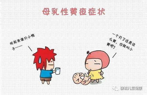 新生儿黄疸如何喂药?新生儿黄疸喂药之后多长时间可以喂母乳