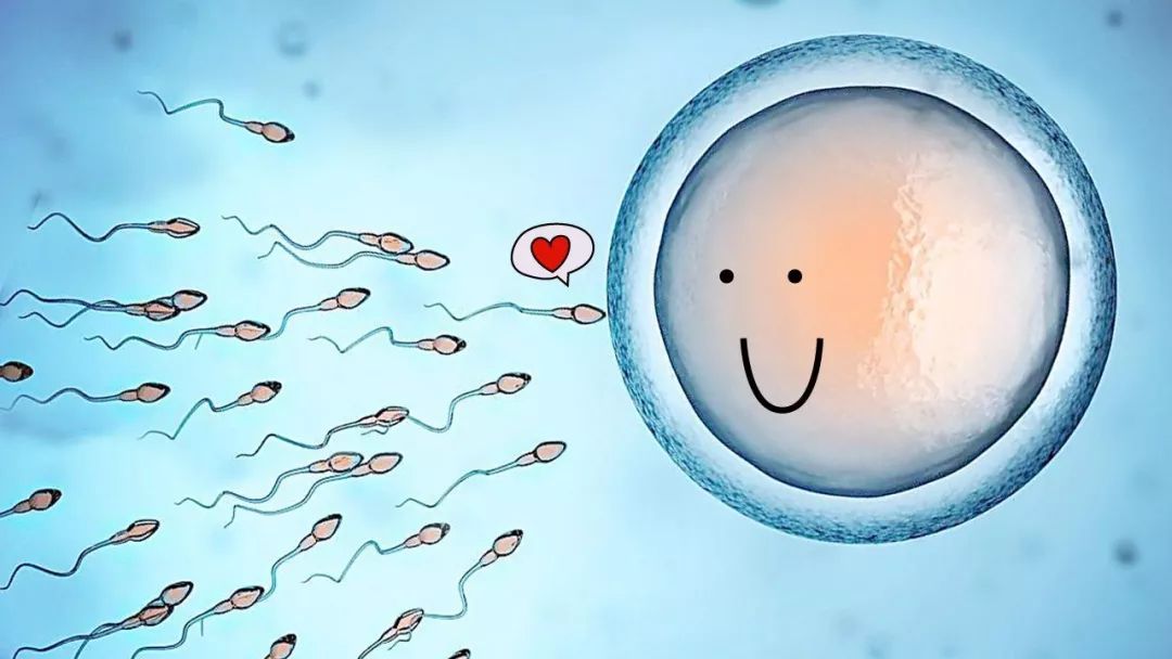 2023苹果13还会再降价吗？（苹果13手机价格和图片）