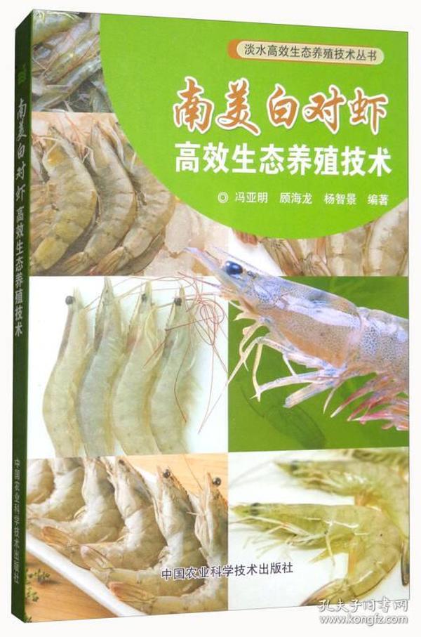 龙虾如何养殖?龙虾如何养殖视频教程