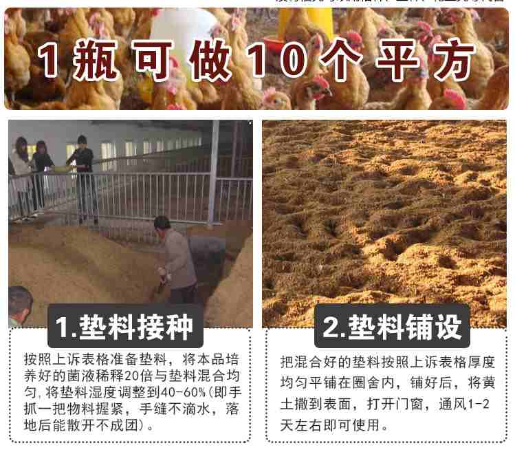 地衣芽孢杆菌厂家价格如何?地衣芽孢杆菌菌种 地衣芽孢杆菌厂家价格如何?地衣芽孢杆菌菌种