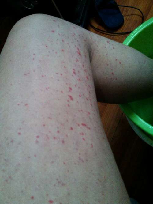 naacee（naacee鞋子）