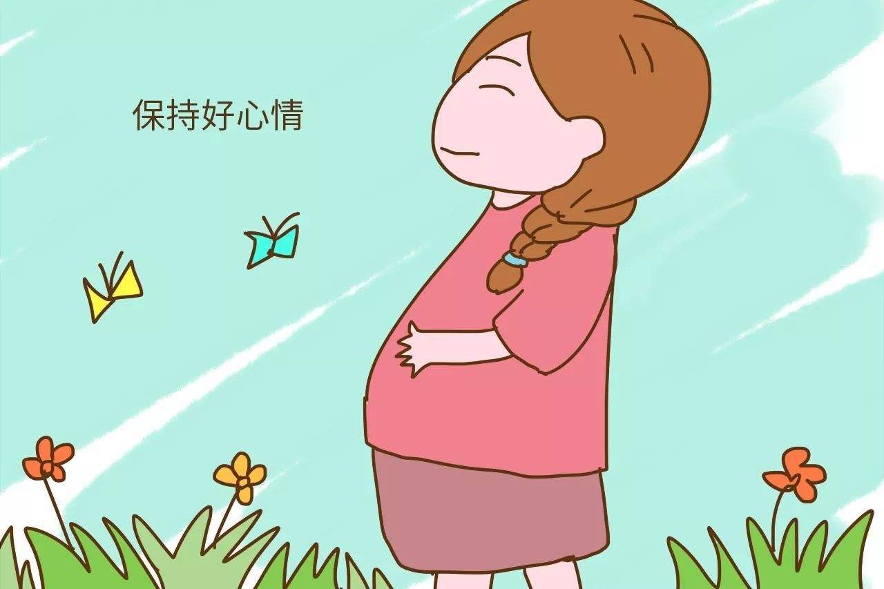 西线无战事电影2022（西线无战事电影哪个版本好）