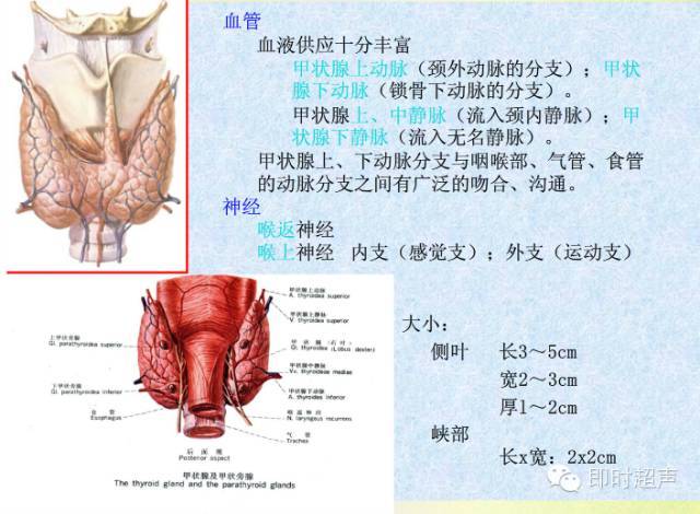 甲状腺术后如何判断复发转移?甲状腺术后如何判断复发转移了没