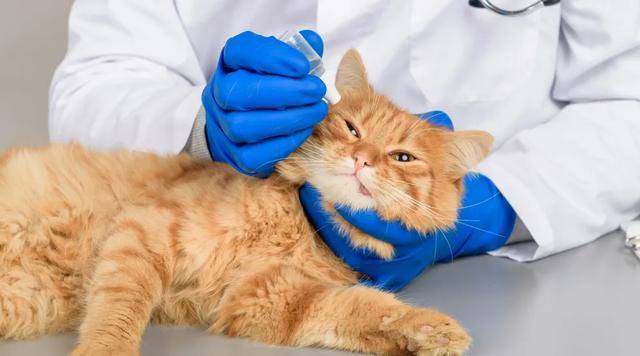 长期在电脑前如何保护眼睛?天天做在电脑前 怎么保护眼睛呢