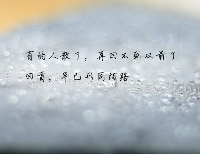 尼康镜头报价（尼康镜头测评）