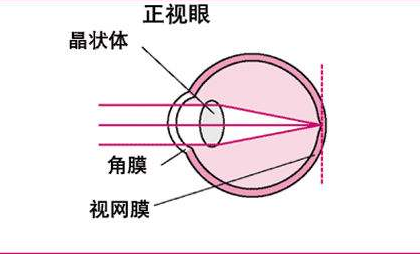 包含八岁儿童近视如何散瞳的词条 包含八岁儿童近视如何散瞳的词条