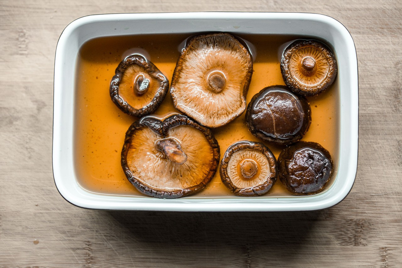 mp4品牌（mp4品牌 2005年）