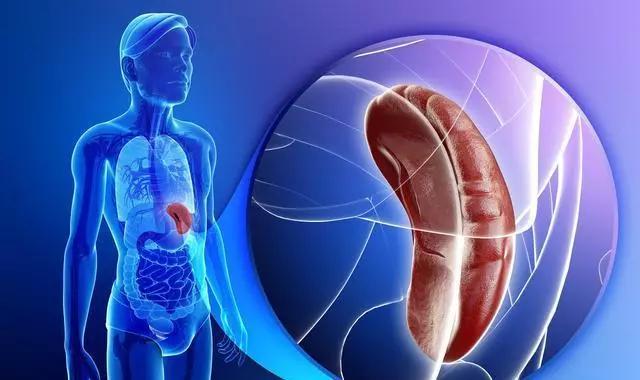 如何让身体吸收水分?怎么能让身体吸收水快