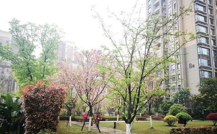 重庆万科城?重庆万科城一期租房