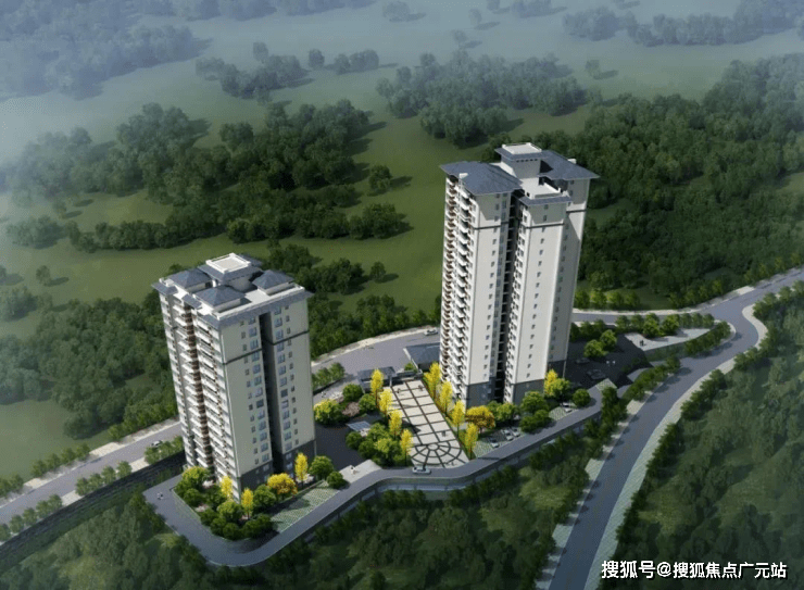 爱尔兰女记者身亡（爱尔兰女记者身亡原因）