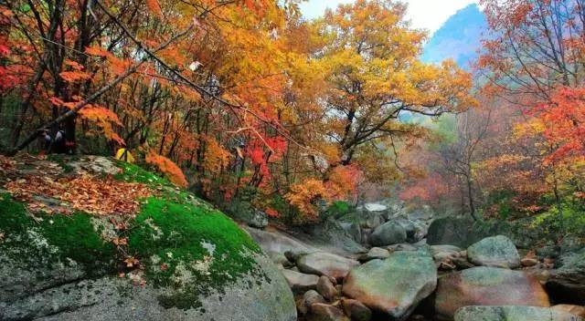 你是我的眼睛的角色介绍？（野蛮甜心）