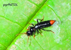 电影分类最全的网站？（最新热门电影）