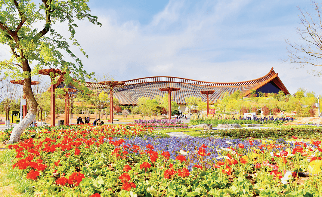 北京中山公园和圆明园哪个值得去？（圆明园沉睡百年古莲复活开花）