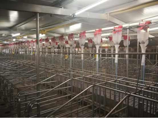 2022全国第七次人口普查数据官网？（福布斯发布2022中国内地富豪榜）