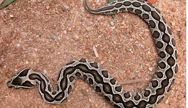 2021全国宜居城市排名？（全国宜居城市排行）