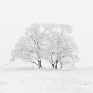 世界上最贵的表（世界上最贵的表排名）