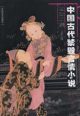 中国古代禁毁言情小说(套装共18册)-未知-.mobi